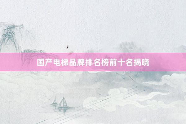国产电梯品牌排名榜前十名揭晓