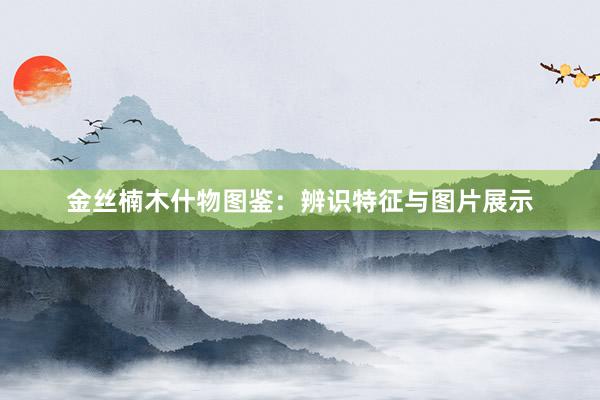 金丝楠木什物图鉴：辨识特征与图片展示