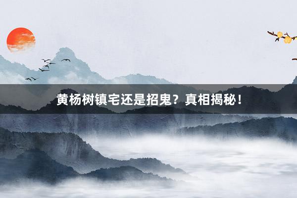 黄杨树镇宅还是招鬼？真相揭秘！