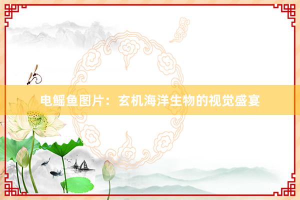 电鳐鱼图片：玄机海洋生物的视觉盛宴